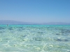 100_2222.jpg